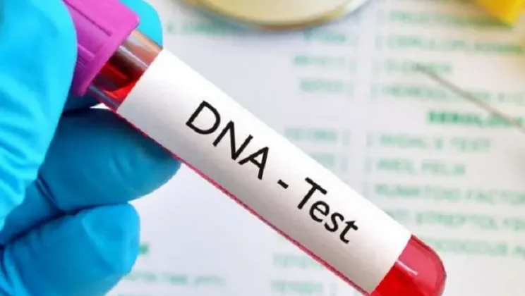 إثبات النسب أمام المحاكم بالسعودية